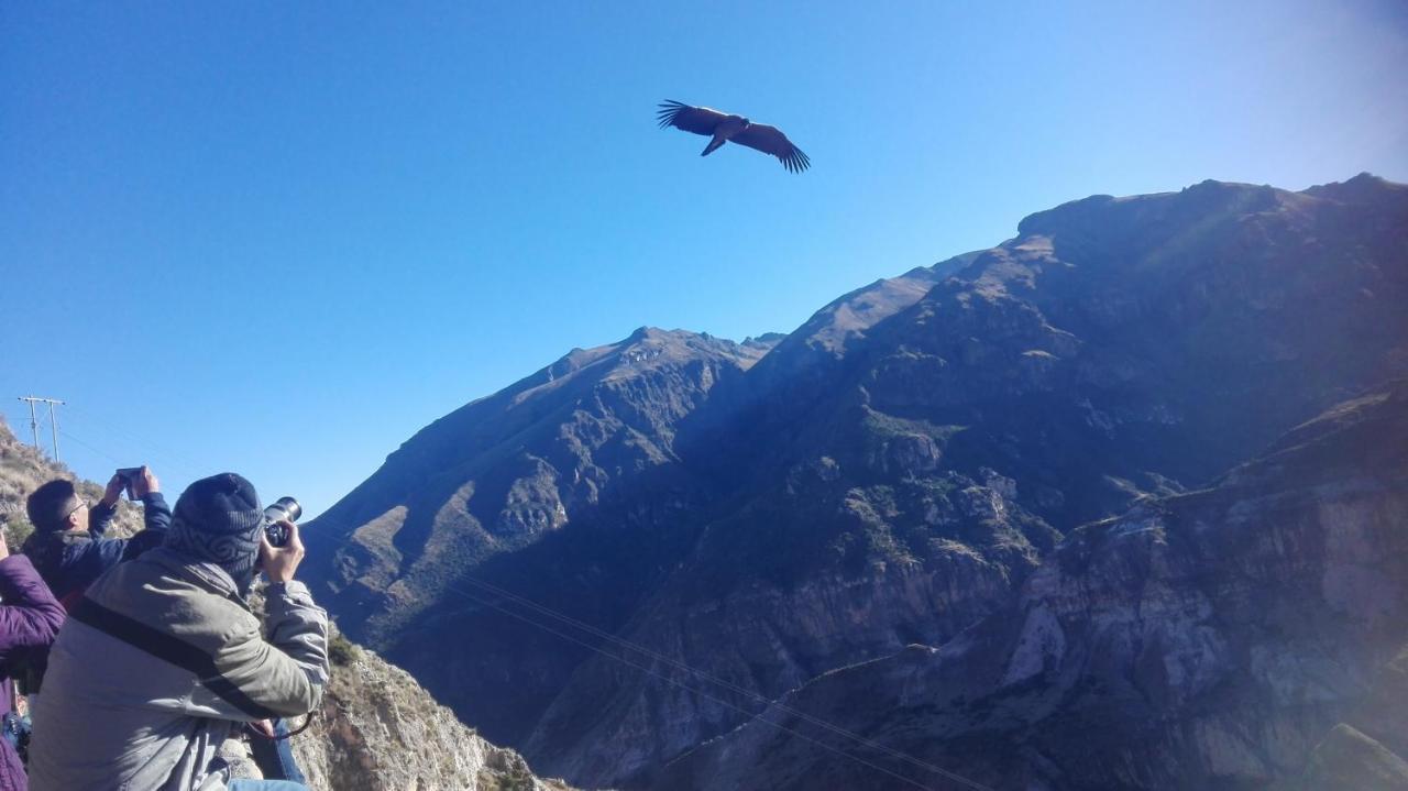 Hotel Misky Punuy - Valle Del Sondondo Andamarca Dış mekan fotoğraf