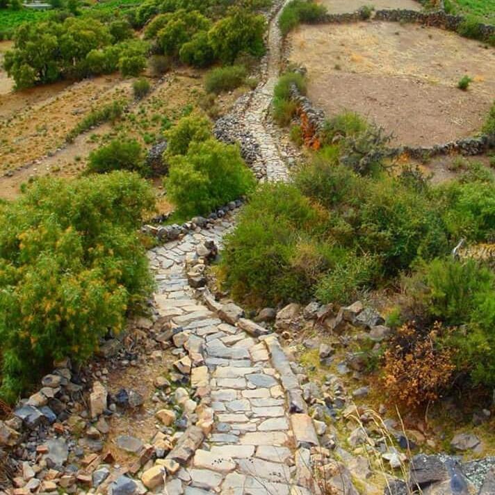 Hotel Misky Punuy - Valle Del Sondondo Andamarca Dış mekan fotoğraf