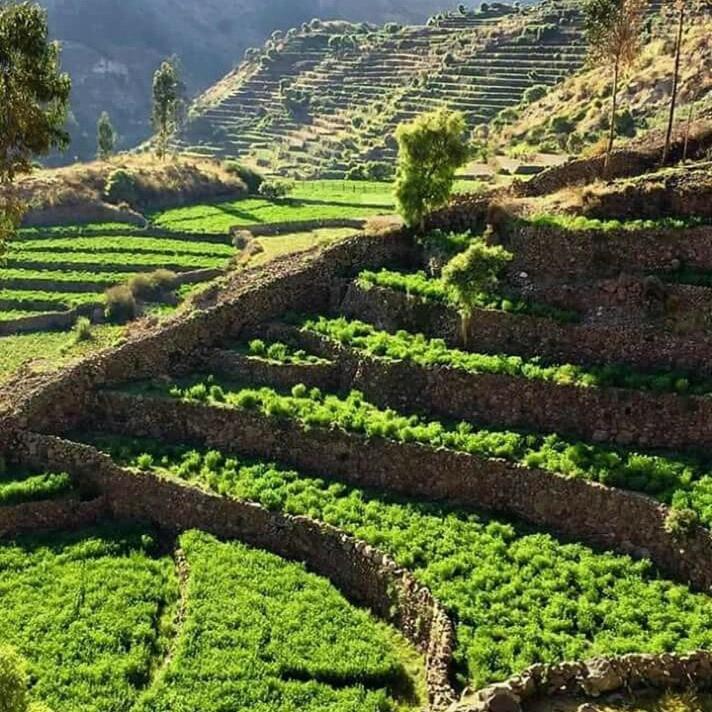 Hotel Misky Punuy - Valle Del Sondondo Andamarca Dış mekan fotoğraf